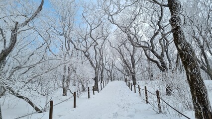 자연의 아름다움