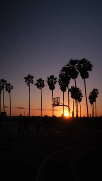bright california beach sunset