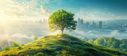 Foto op Plexiglas A tree over the green hill at morning with city background. Generative AI technology.   © Hero Design