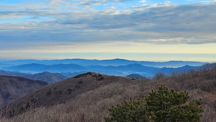 자연의 아름다움