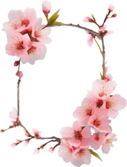 Fototapeta na wymiar Watercolor painting of Cherry blossom Floral frame.