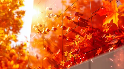 Schilderijen op glas Autumns Vibrant Canvas, A Celebration of Color and Light, The Seasonal Beauty of Natures Bounty © SK