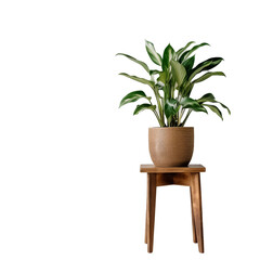 A potted plant sits on a wooden stand