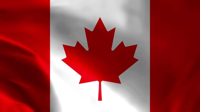 Canada flag. Canada Flag waving with high quality texture in 4K National Flag. seamless loop animation of the canada flag.