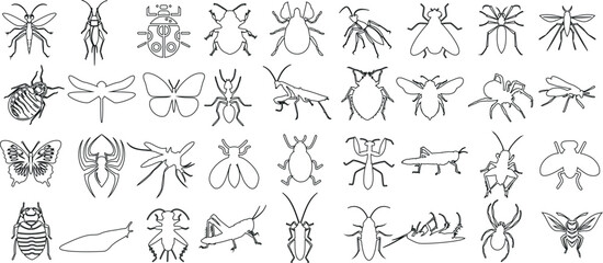 Insect line art collection