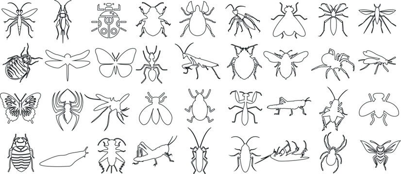 Insect line art collection