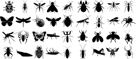 Insect silhouette collection, diverse bug species. Educational visual resource, insect vector set. Perfect for nature projects, entomology studies, and biodiversity awareness campaigns