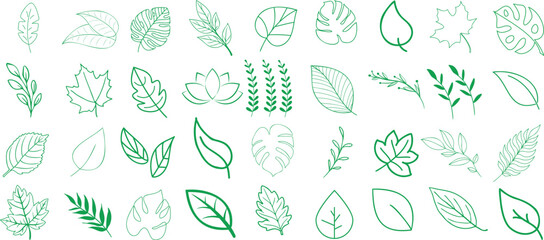 Green leaves line art, leaf vector set for eco friendly design elements for sustainable branding, organic products promotion, nature inspired, environment friendly