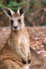 Port Arthur, Tasmania, Australia
