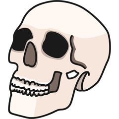 Skull Sticker