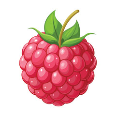 Fresh Raspberry Fruit Illustration on White Background