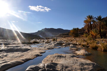 Sands and Shadows: Exploring the Enchanting Deserts, Majestic Caves, and Camel Caravans in a Journey Across Arid Landscapes