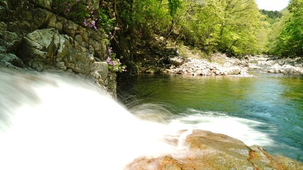 Fototapete bei efototapeten.de bestellen   