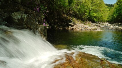 Fototapete bei efototapeten.de bestellen   