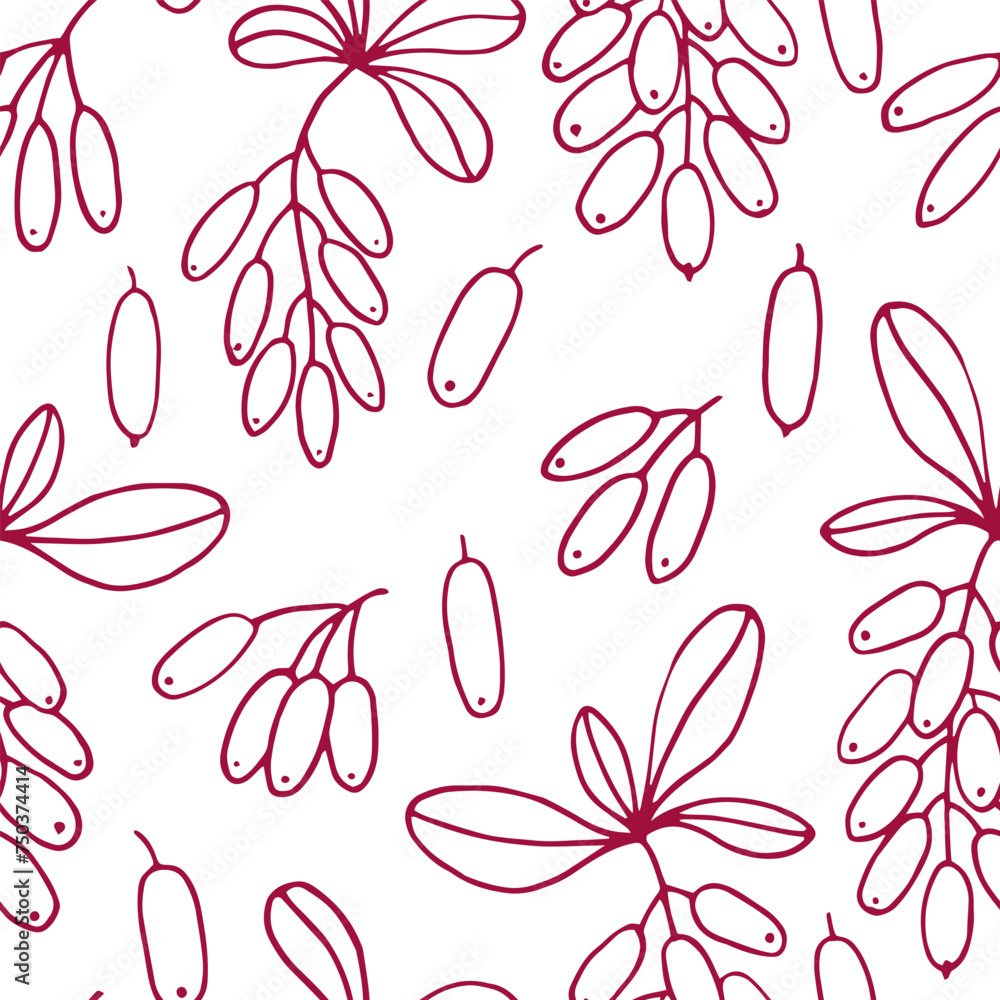 Canvas Prints seamless pattern with leaves and barberry berries. hand drawn vector illustration in outline style.