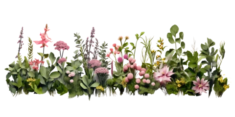 Rolgordijnen shrubs and perennial flowers isolated on transparent background © Pornnapha