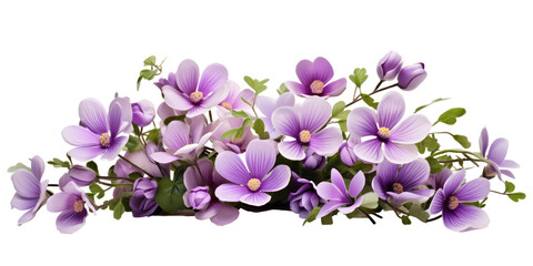 cute little miniature flower arrangement with purple flowers isolated on transparent background