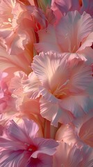 Gentle Symphony: A close-up view capturing the gentle symphony of colors and textures in Gladiolus blooms.