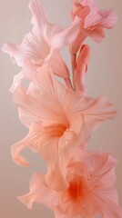 Ethereal Blooms: Gladiolus blossoms portrayed in an ethereal, otherworldly close-up.