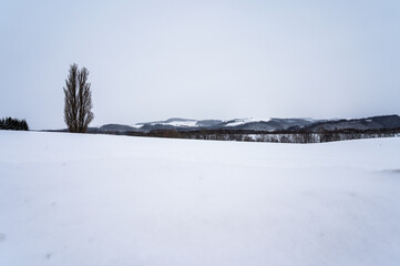 北海道美瑛の丘の雪景色