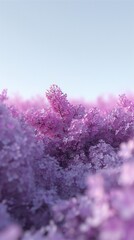 A breathtaking horizon filled with lilac blooms, their wavy forms stretching as far as the eye can see.
