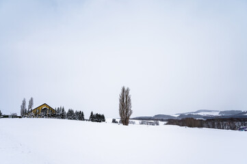 北海道美瑛の丘の雪景色