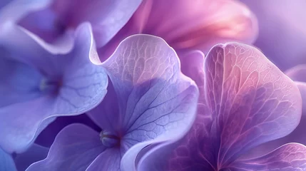 Foto op Canvas Lilac Whispers: Macro shot of lilac petals in wavy form, whispering calming rhythms. © BGSTUDIOX