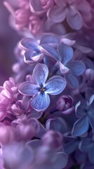 Moonlit Lilac: Macro shots of lilac blossoms under the moonlight, their wavy petals bathed in a soft, ethereal glow.