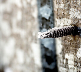 ice crystals on a rusty screw, illuminated by the morning sun - 750388436