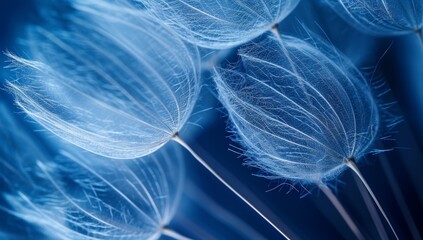 Naklejka premium Close-up of dandelion seeds on a blue background.
