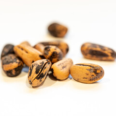 still life with various dry seeds and nuts