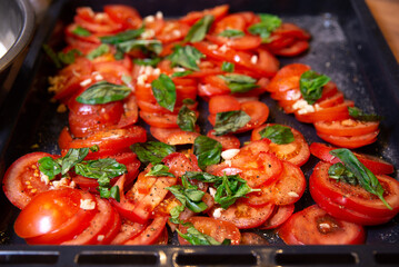 Seasoned Tomato Slices with Fresh Basil on Tray. Ripe tomato slices seasoned with garlic and pepper, garnished with fresh basil leaves on a baking tray, ready for roasting.