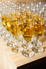 Sparkling Apple Cider Glasses on Wooden Counter. Rows of sparkling apple cider filled glasses on a wooden counter, ready for a festive celebration or toast.