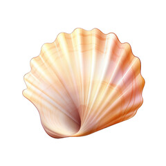 Seashell isolated on transparent a white background