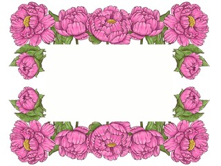 pink peony frame