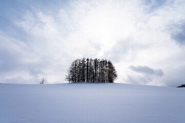 北海道美瑛の丘の風景