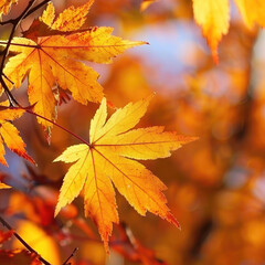 Crisp Autumn Leaves in Rust Orange: Setting Portrayal