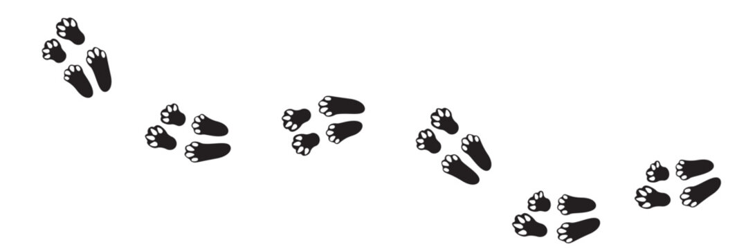 Wet or mud bunny feet prints. Rabbit paw silhouette stamps. Trace of steps of running or walking hare isolated on white background. Vector file illustration.