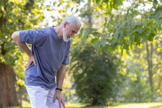 Senior gray-haired man with a beard jogging in the park and doing sports, standing bent over and holding his hand behind his back, felt severe pain and sprain.