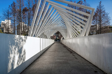 Geometric Elegance of Urban Pedestrian Bridge