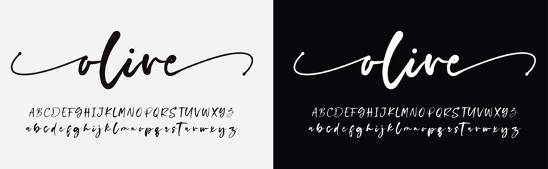 Best Alphabet Birdsong Amazing Script Signature Logotype Font lettering handwritten