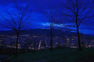 Bilbao seen from a hill in the evening