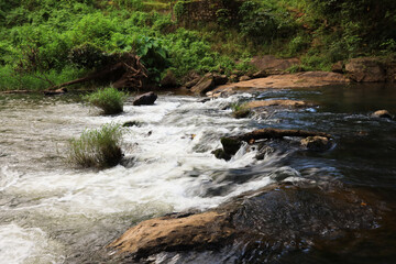 Spectacular view of wild stream enhances the beauty of Nelliyampathy