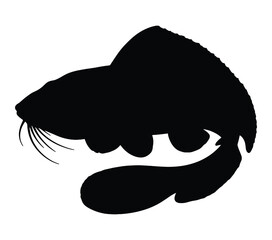 African Lungfish Silhouette Stock Vector Illustration.