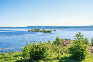 View at a lake from the beach a sunny summer day