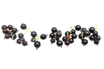 black currant berries on a white background.