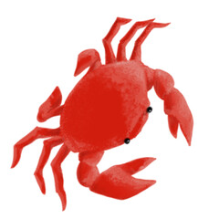鮮やかで可愛い赤いカニのイラスト