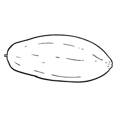 papaya line vector illustration