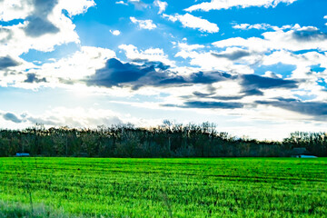 Obraz premium Photography on theme big empty farm field for organic harvest