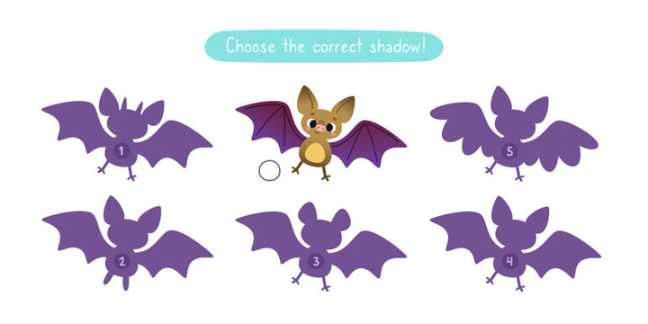 Mini game with cute bat for kids. Find the correct shadow of cartoon vampire bat. Brainteaser for kids.